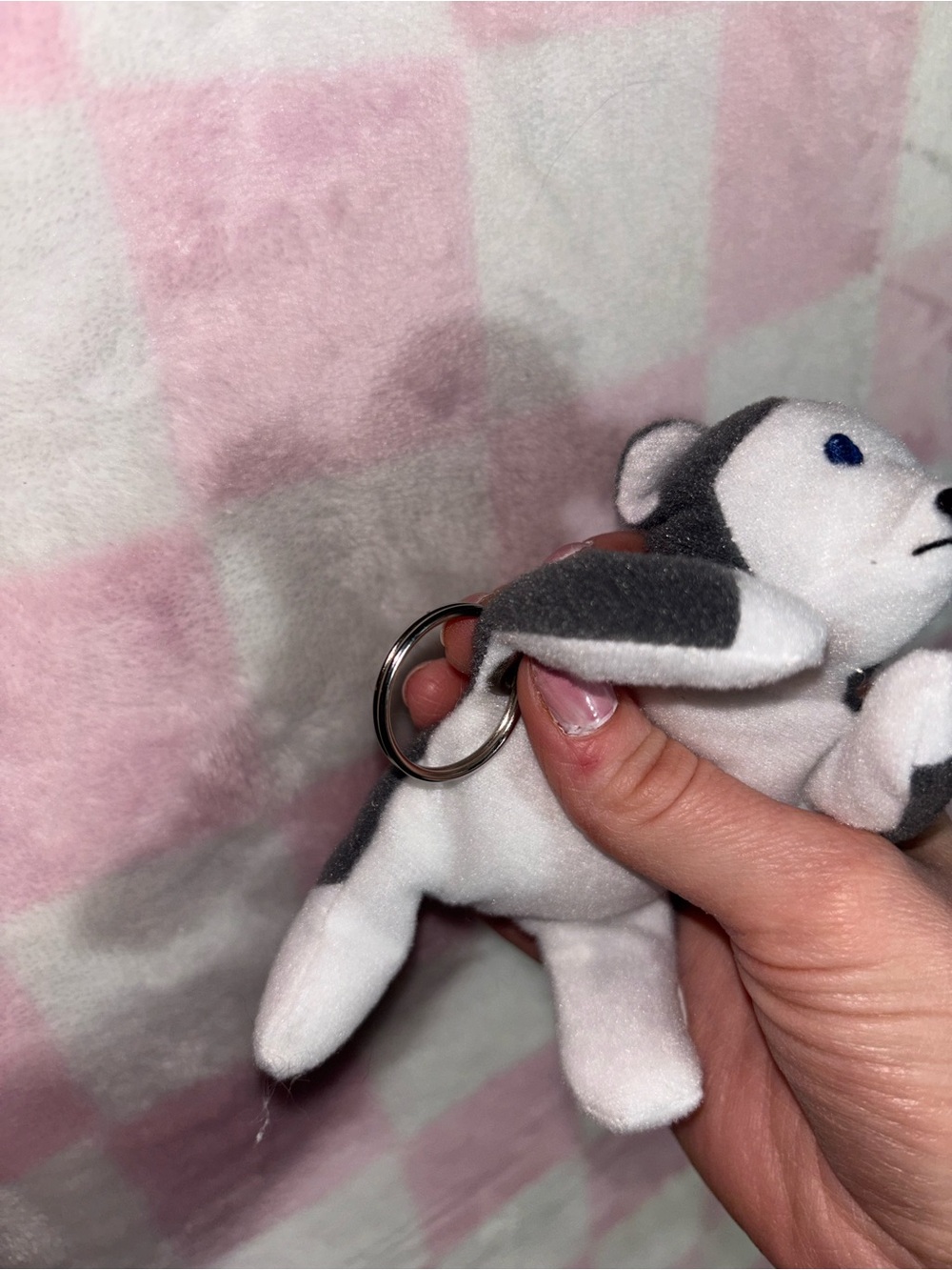 Ty Beanie Baby Puppy Dog Keychain Plush Gray White Blue Eyes husky dog lover - Picture 3 of 5